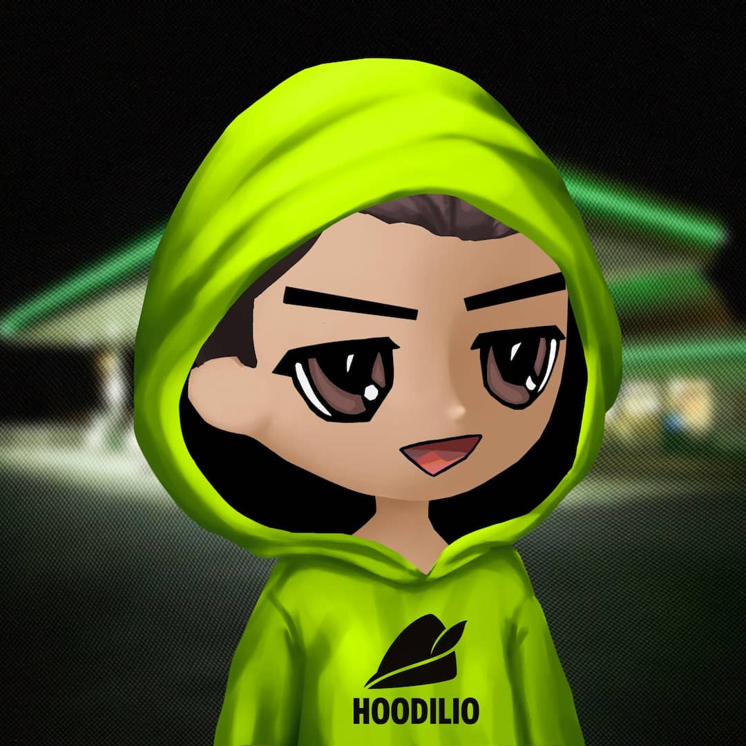 Hoodilio #1381