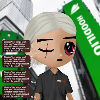 Hoodilio #1511