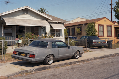 The Hood #0896