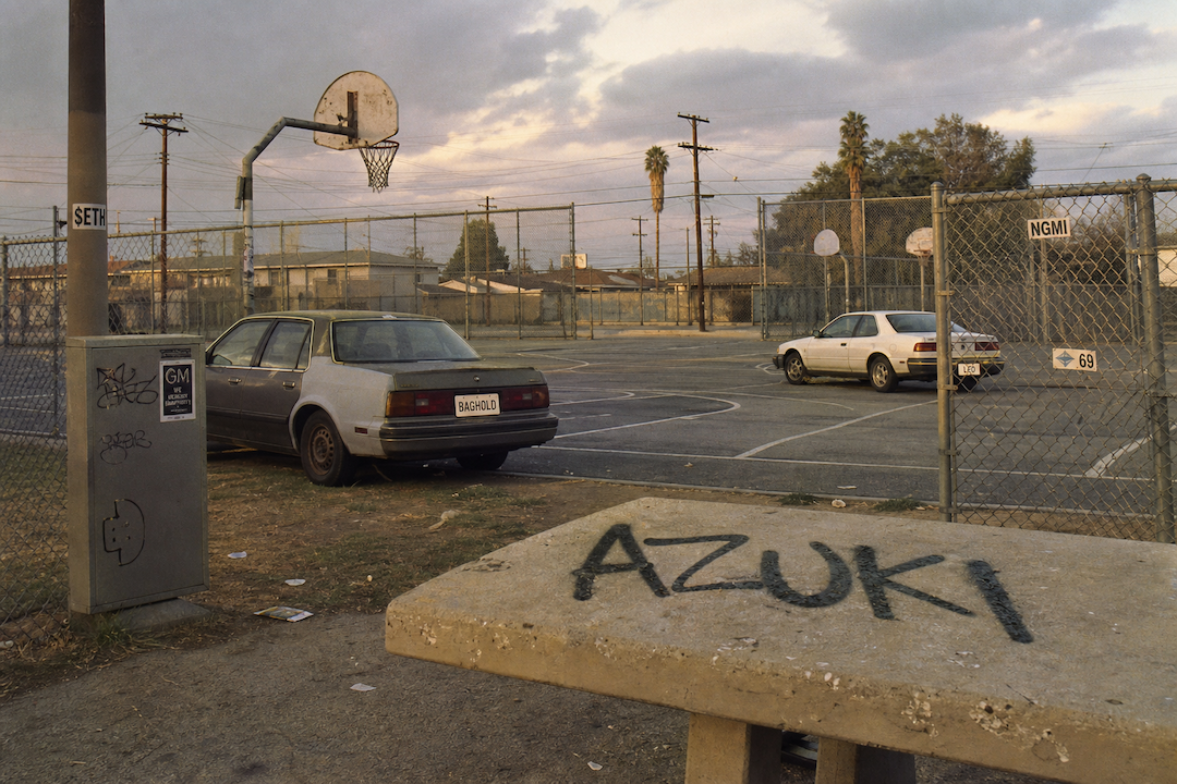 The Hood #1095