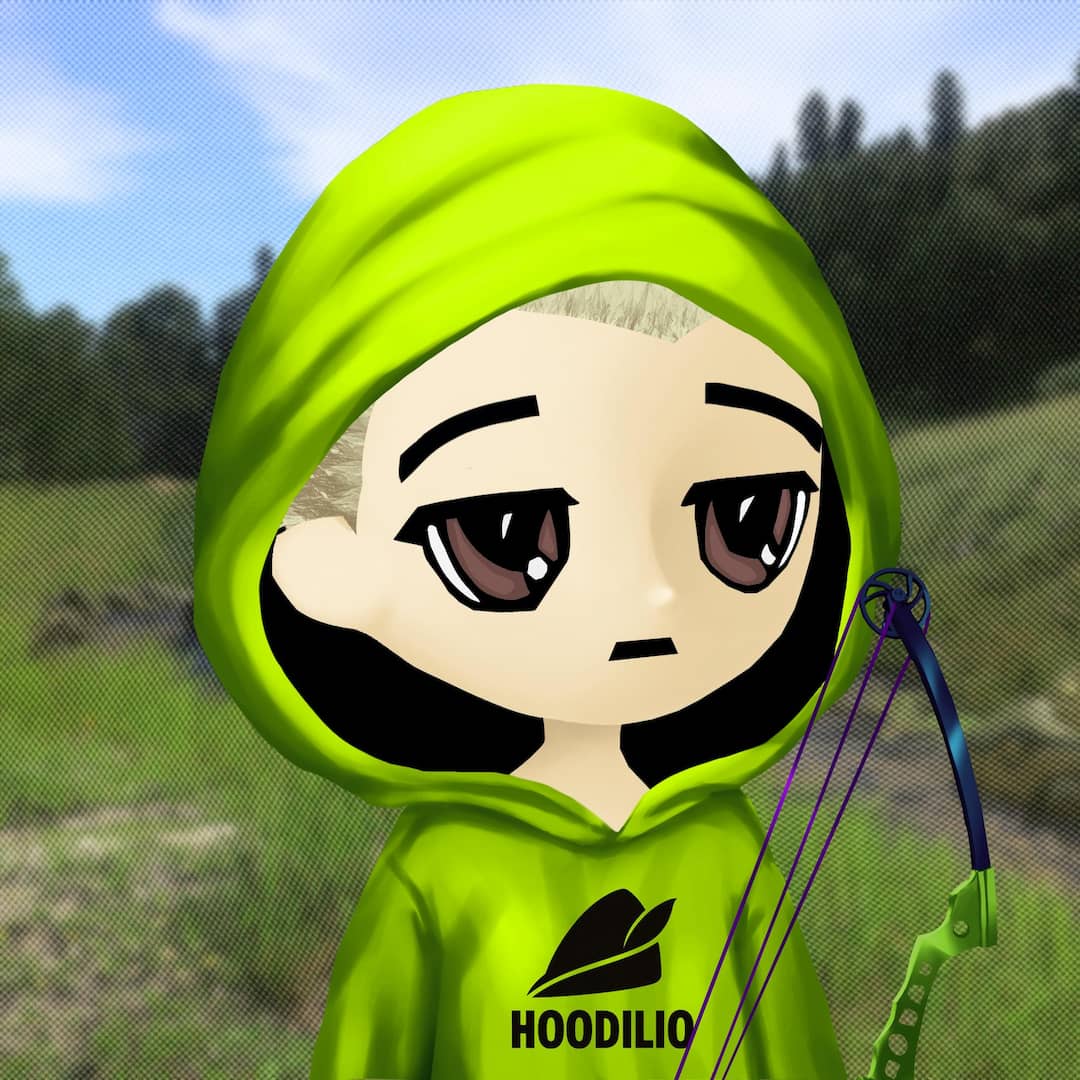 Hoodilio #500