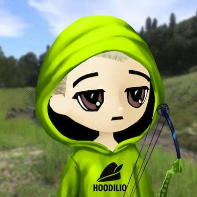 Hoodilio #500