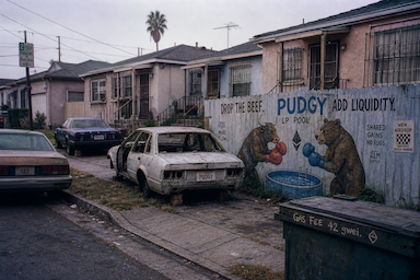 The Hood #0733