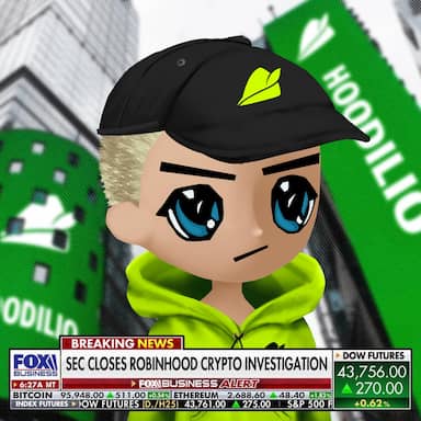 Hoodilio #4751