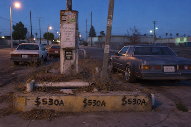 The Hood #0853