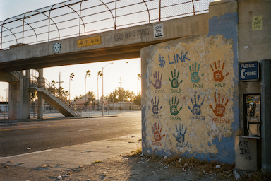 The Hood #1981