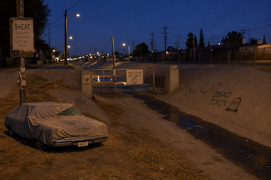 The Hood #1275