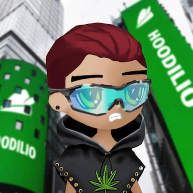 Hoodilio #3738