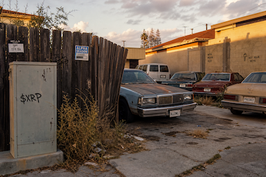 The Hood #0871