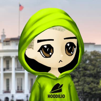 Hoodilio #1707