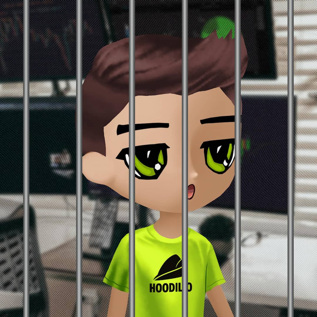 Hoodilio #3529