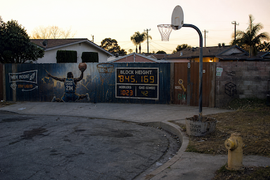 The Hood #0118
