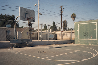 The Hood #0703