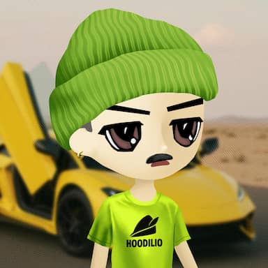 Hoodilio #4207