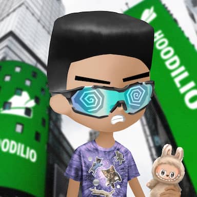 Hoodilio #622