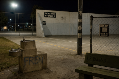 The Hood #1211