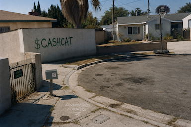 The Hood #0250