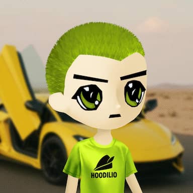 Hoodilio #1221