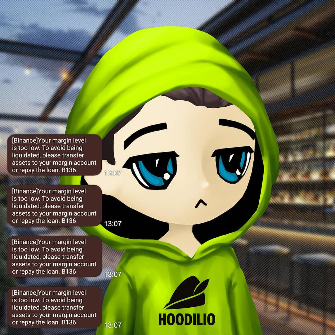 Hoodilio #1249