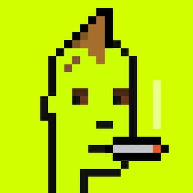 404 Origin Punk